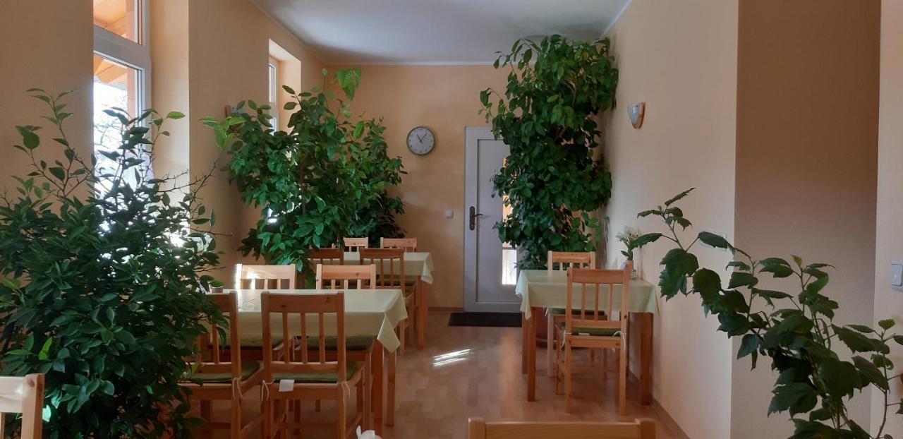 Pension Lehmann Radebeul Exterior foto